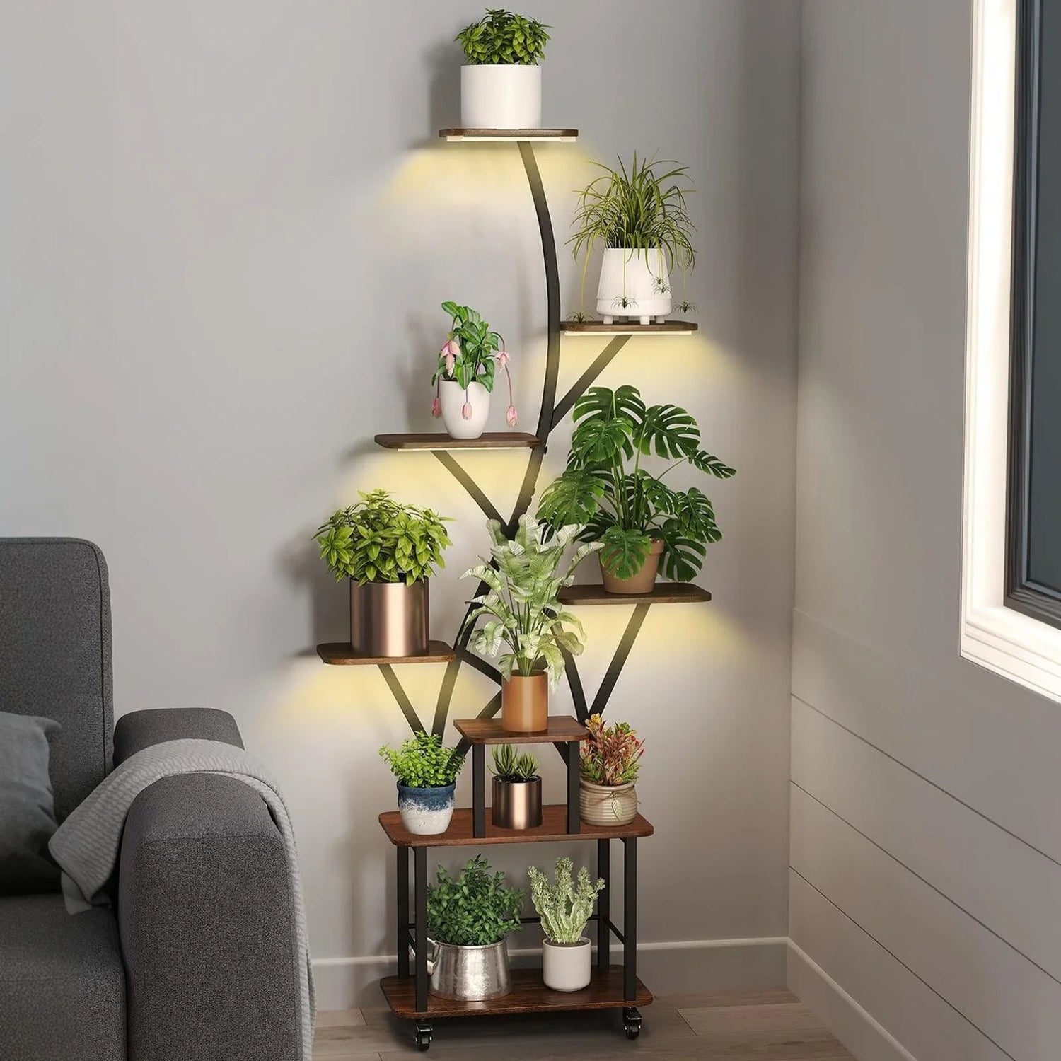 Shelves