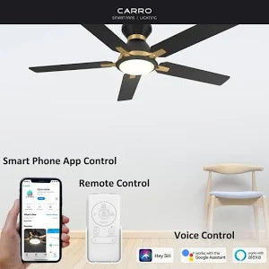 Ceiling Lights with Fan and Remote