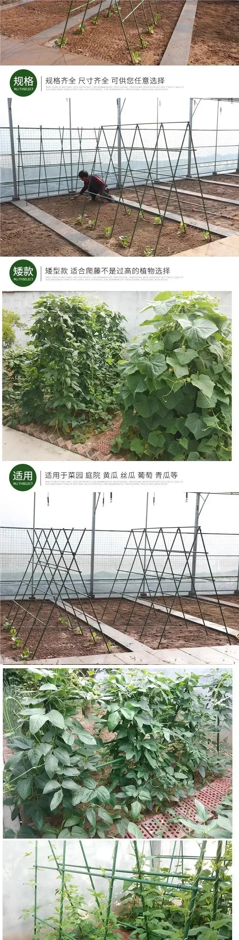 2026 New Sturdy Plant Support Trellis 3 Horizontal 6 Vertical PVC-Coated Steel Pipe Stakes for Garden Vegetables Climbing Plants