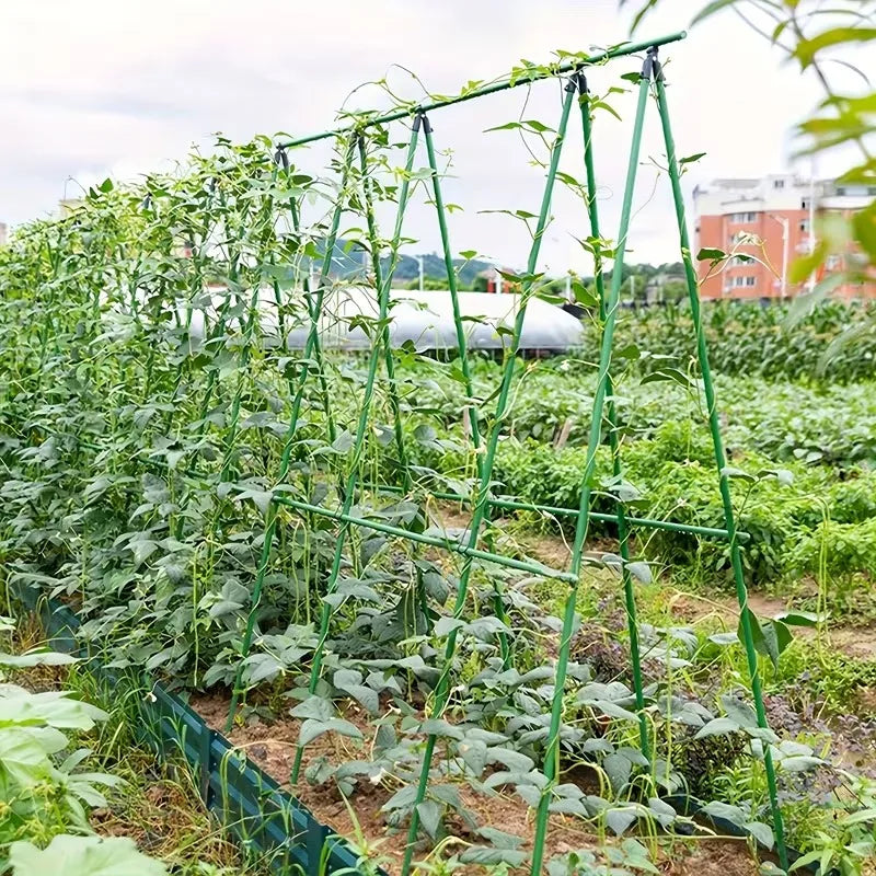 2026 New Sturdy Plant Support Trellis 3 Horizontal 6 Vertical PVC-Coated Steel Pipe Stakes for Garden Vegetables Climbing Plants