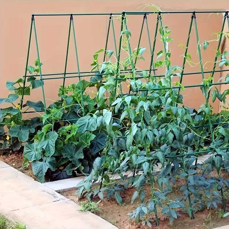 2026 New Sturdy Plant Support Trellis 3 Horizontal 6 Vertical PVC-Coated Steel Pipe Stakes for Garden Vegetables Climbing Plants