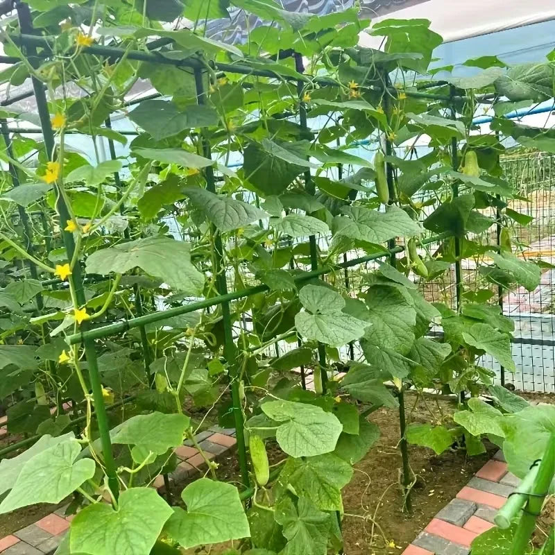 2026 New Sturdy Plant Support Trellis 3 Horizontal 6 Vertical PVC-Coated Steel Pipe Stakes for Garden Vegetables Climbing Plants